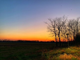 Naklejka premium sunset in a field
