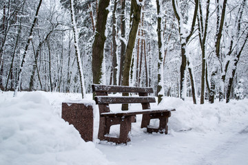 Empty bench in the winter park.