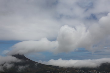 Obraz premium lionshead qualmt