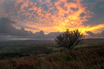 Sunrise over Bodmin Moor, with beautiful couloures clouds in the sky , Cornwall, UK