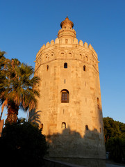 Fototapeta na wymiar Torre del Oro. Seville, Andalusia, Spain. Palm trees and sunset light, blue sky, sunny day.