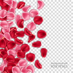 Red and pink rose petals on transparent background. Design element for Valentines Day card or invitation