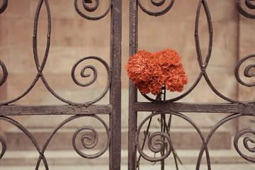 Bouquet of red carnations on the metal fence of Kant's grave