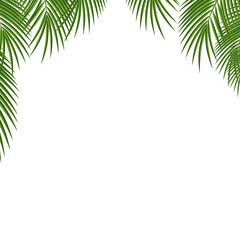 Palm tree. Frame. Green palm leaves template isolated on transparent background. Vector illustration.
