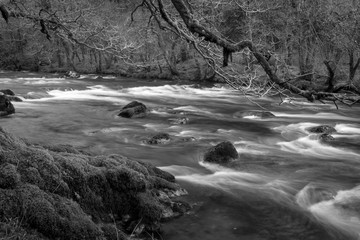 River Dart, Dartmoor