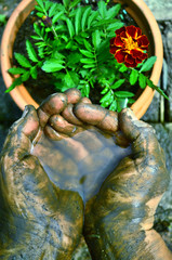 hand with flower