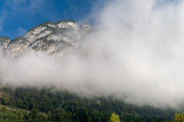 A big white cloud around a wooded mountain on a sunny day - 239154111