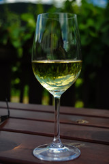 ein glas Weißwein am Heurigentisch vor einem Weingarten unter schönem wolkigen Himme,l a glass of white wine on a background of wineyard and beautiful clouded sky, called heaven in a glass of wine