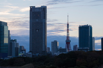 Naklejka premium 夕暮れの東京タワー
