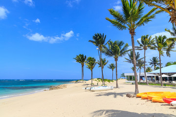 A small catamaran lies on the beach under palm trees in the Caribbean. Dominican Republic.