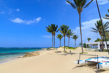 A small catamaran lies on the beach under palm trees in the Caribbean. Dominican Republic.