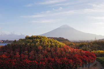 Mt.Fuji in autumn, Japan