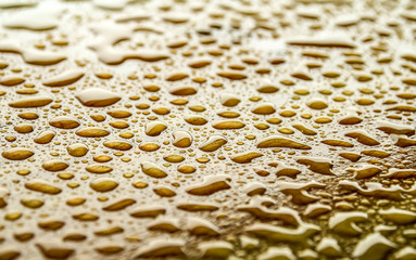 Rain or water drops on wood background