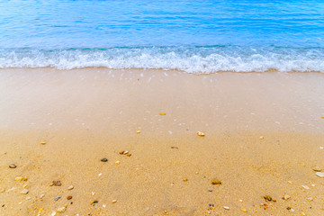 ocean blue wave on sandy beach with sea shell summer background