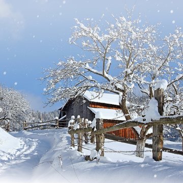 stunning winter landscape, wooden houses in hutzul ukrainian village, spectacular frosty sunny weather, amazing rural nature scenery, Carpathian mountains, Ukraine, Europe