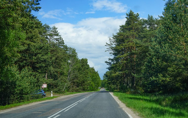 Fototapeta premium Landscape with the road to the Curonian spit, Kaliningrad region.