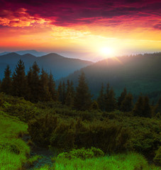 fabulous summer dawn landscape, spectacular morning colorful image, mountains hill covered forest on background dramatic sky and sunrise, awesome nature scenery, Ukraine, Europe