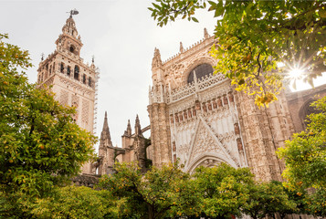 Fototapeta na wymiar Garden with orange trees around the 16th century Sevilla Cathedral in Andalusia, Spain