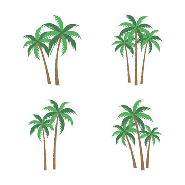 [PALM TREE SET] A palm tree vector set.