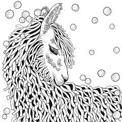 Llama. Coloring Book page for Adult and children in doodle style. Black and white background. Hand-drawn winter lama. © ImHope