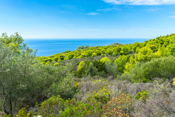 Obraz premium Greece, Zakynthos, Green paradise of untouched nature landscape and blue ocean