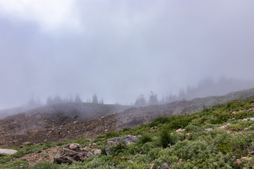fog over mountainside with meadows and trees