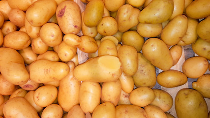 potatoes on a shelf at the market for sale usable for background