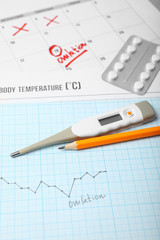 Day of female ovulation in calendar, schedule of basal temperature. Time to conceive child.