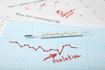 Day to conceive child. Family planning. Ovulation Day in calendar.