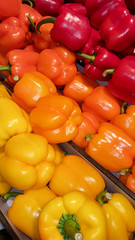 assortment red orange and yellows peppers background