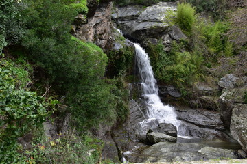 Fototapeta na wymiar waterfall in bastia