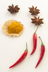 Chilli pods, star anise and turmeric on white background