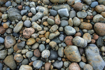 Colorful, smooth granite pebbles on beach in Acadia National Park, Maine.