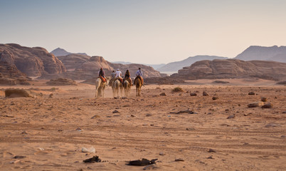 Fototapeta premium Caravan in the desert