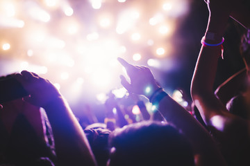 Portrait of happy crowd enjoying at music festival