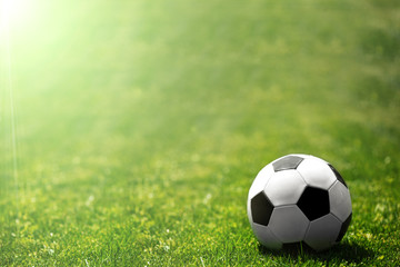 Fototapeta premium Soccer ball on the grass