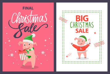 Big and Final Christmas Sale Poster Pig Vector
