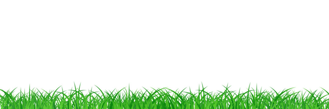 Grass field abstract background vector illustration in long horizontal