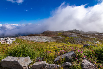 fluffy white clouds above a high up mountain trail