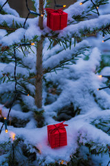 christmas tree in snow and christmas gift