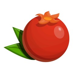 Whole pomegranate icon. Cartoon of whole pomegranate vector icon for web design isolated on white background