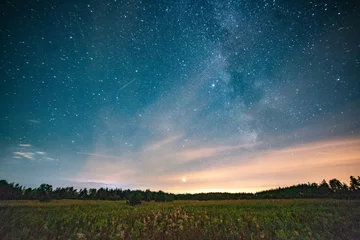 Foto auf Acrylglas Persiiden-Meteor am Himmel © Garnelis