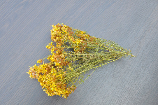 St. John's wort. Hypericum on the table close-up
