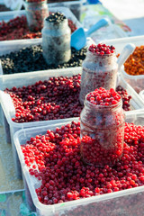 Frozen red berry fruits at local market in Altai, Russia