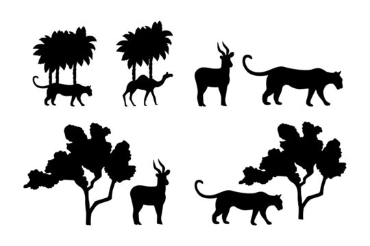 Set of Compositions of vector black silhouettes isolated on a white background. Predator and prey under the tree. Tiger and antelope. Wildcat, camel, palm tree