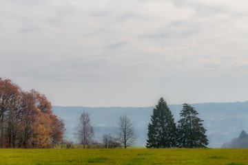 Obraz premium Meadow landscape with green grass with bare, autumnal trees and green pines against a gray cloud-covered sky with fog, mountains in background, cold hazy winter morning in the Belgian Ardennes