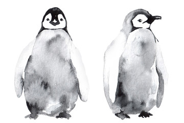 Watercolor clipart with penguin isolated on white background. Hand drawn illustration © Anastasiia