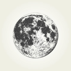 Realistic full Moon. Detailed monochrome vector illustration
