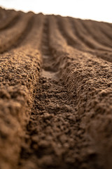 Sand of Tensfeld