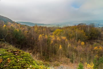 beautiful image of a set of trees with yellow leaves with a gray and cloudy sky on an autumn day in of the Belgian Ardennes